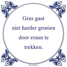 veranderen gaat langzaam